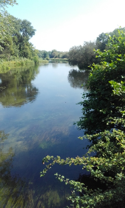 The river Test